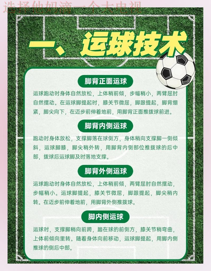 全方位解析B体育综合版体验 全方位解析B体育综合版体验